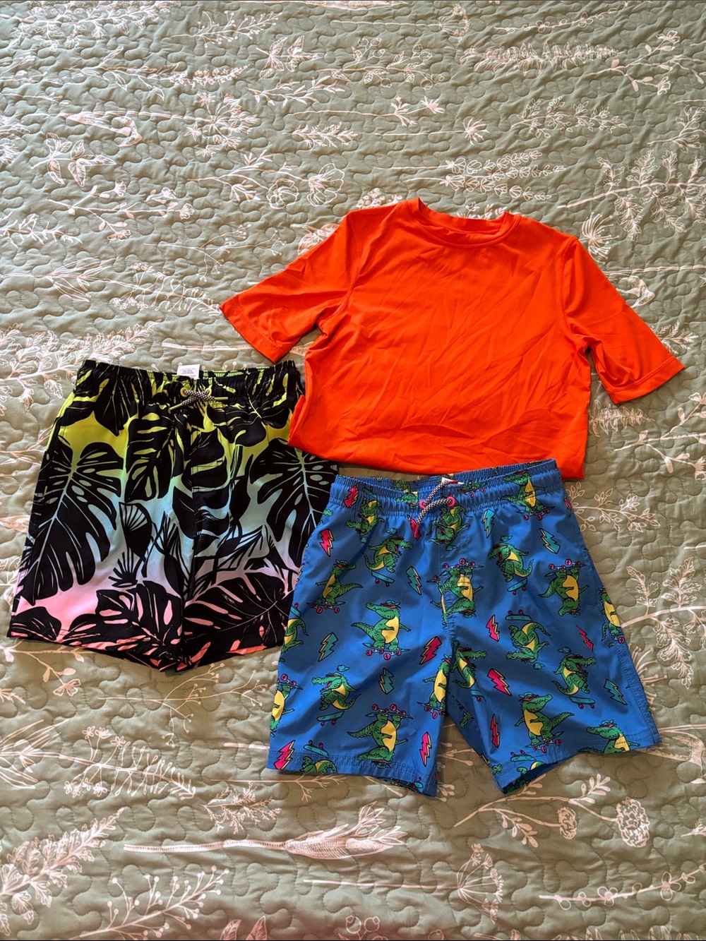 Boys Swim Trunks and Rash Guard